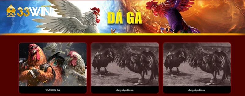Quy trình giải trí cùng chọi gà CP3 dễ hiểu