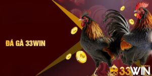 Giới thiệu cá cược đá gà tại nhà cái 33Win