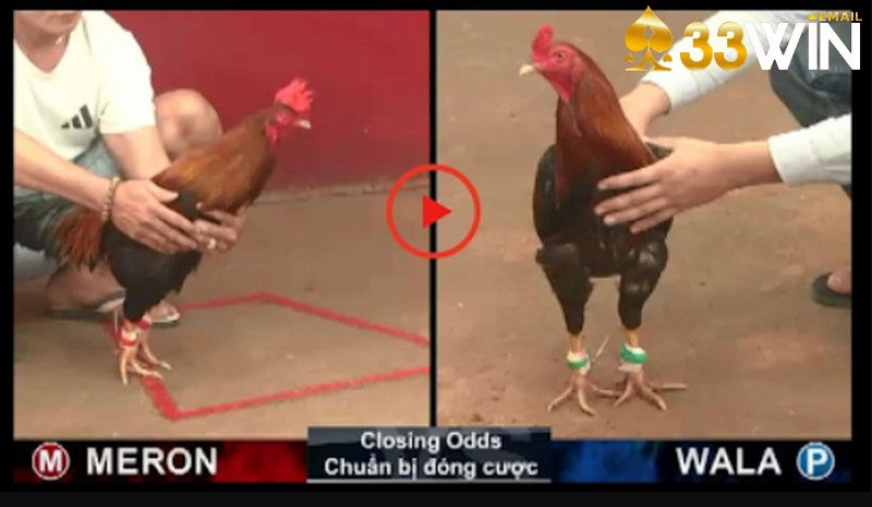 Phân tích kèo cược của nhà cái cẩn thận