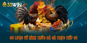 Sơ lược về hình thức đá gà trực tiếp c1
